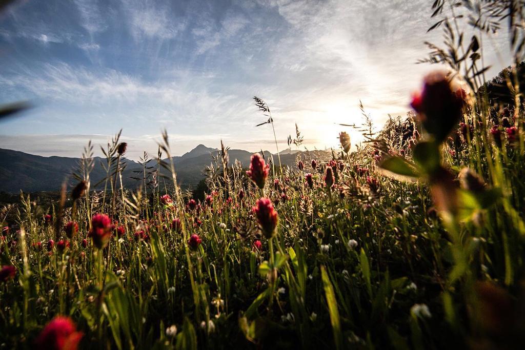 Renaissance Tuscany Il Ciocco Resort&Spa Barga Esterno foto